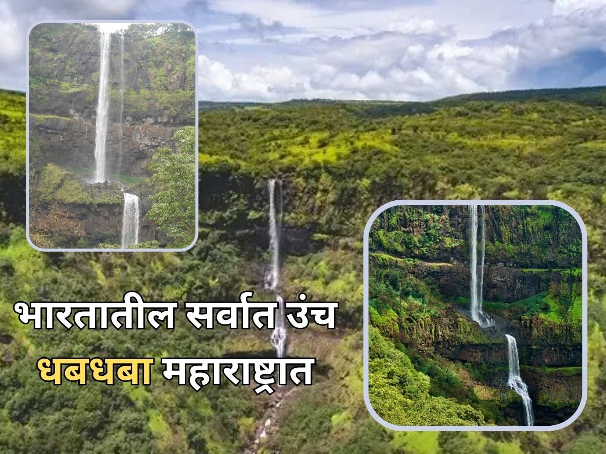 महाराष्ट्रात आहे भारतातील सर्वात उंच धबधबा, गर्द रानात दडलेल्या 'या' ठिकाणाची पूर्ण Tour Guide title=