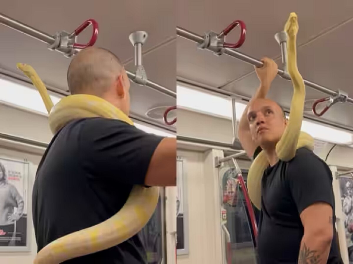 Viral Video : भयानक साप गळ्यात घालून तो मेट्रोमध्ये चढला अन् मग, हृदयाचे ठोके चुकविणारा व्हिडीओ  title=