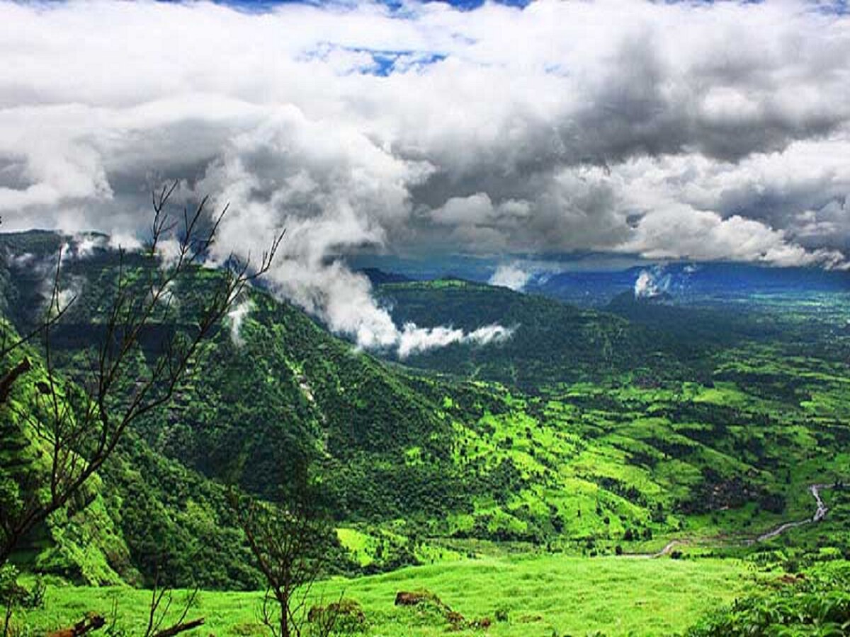 पाऊस ओसरणार, सूर्यदेवाचं दर्शन घडणार; पाहा काय सांगतोय हवामानाचा अंदाज  title=