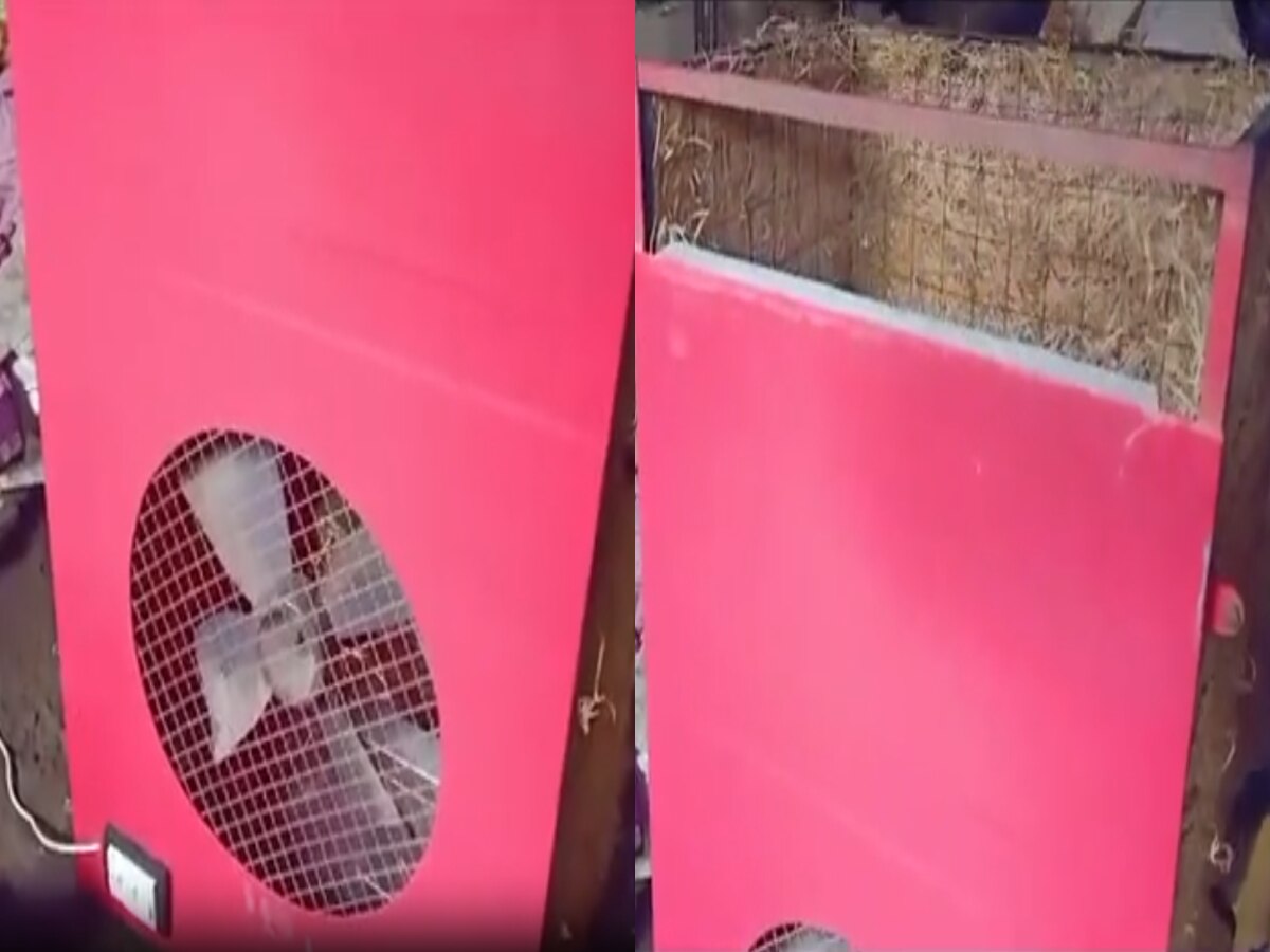 कुलरचा शॉक लागून पती-पत्नीचा मृत्यू; झोपेतच झटका बसल्याने घरातच गेला जीव