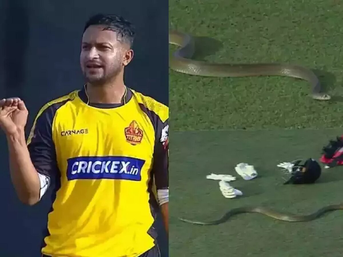 Video : Live क्रिकेट सामन्यादरम्यान अचानक मैदानात आला भलामोठा साप, खेळांडूंची हवा टाइट title=