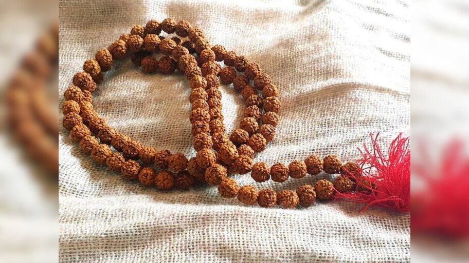 रुद्राक्ष धारण करण्यापूर्वी 'हे' नियम वाचा; राशीनुसार कोणता रुद्राक्ष ...