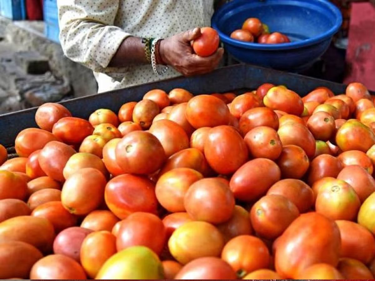 एक किलो टोमॅटोसाठी 300 रुपये मोजायला तयार व्हा? किचनमधलं बजेट आणखी बिघडणार