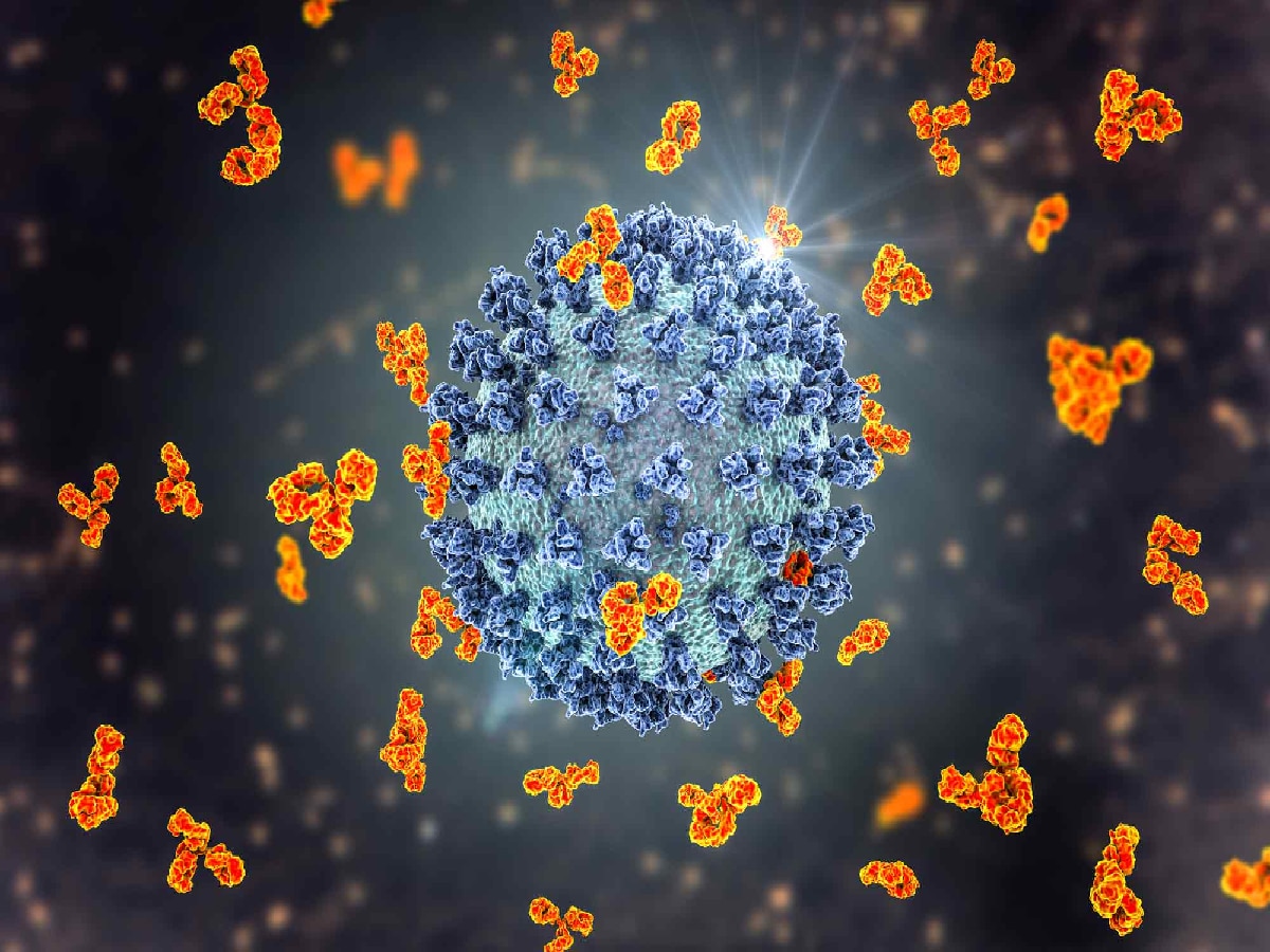 New variant of coronavirus : कोरोनाची पुन्हा धोकादायक एन्ट्री; वेगाने पसरतोय नवा व्हेरिएंट title=