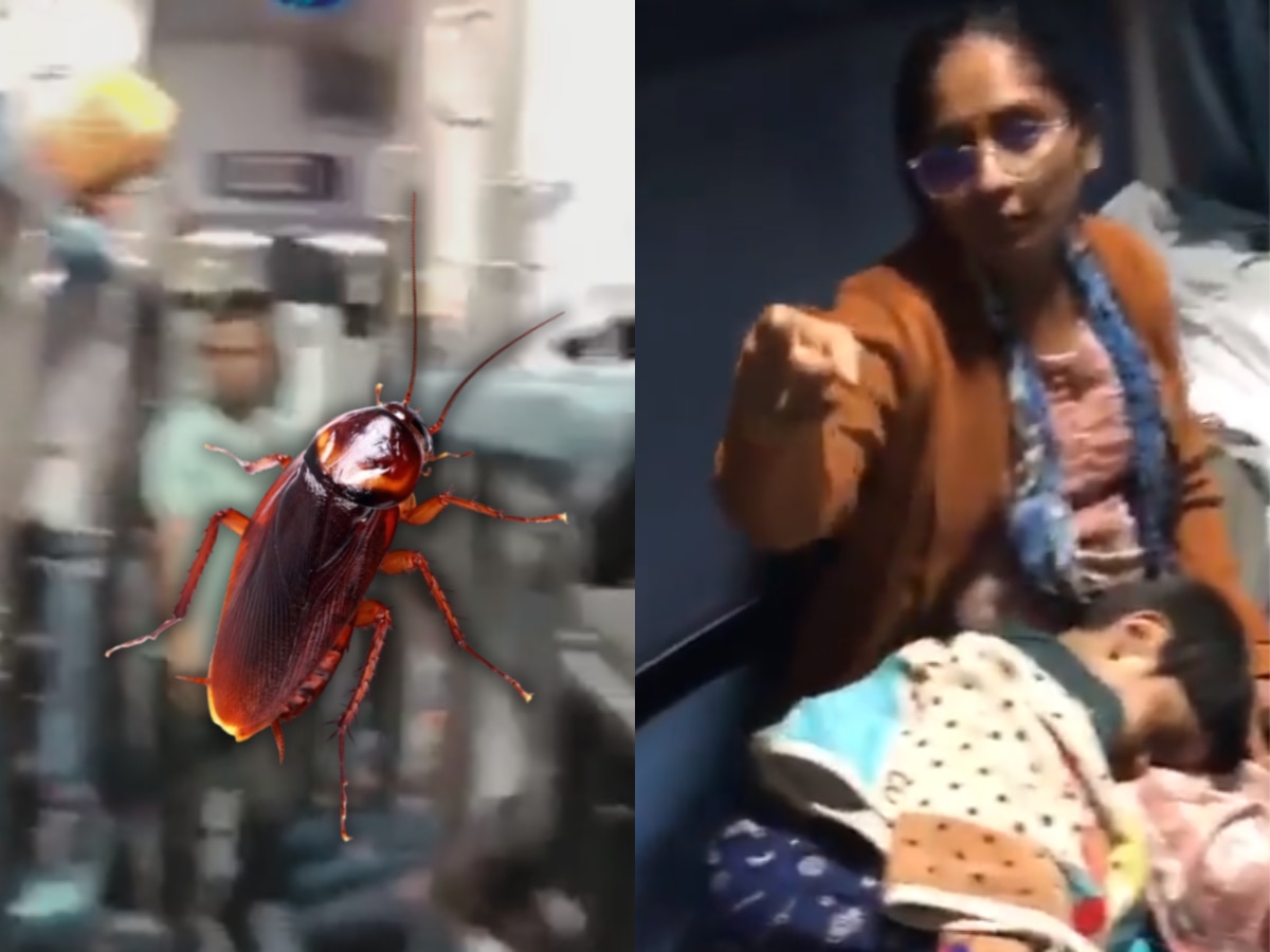 Pune News: ऐकावं ते नवलंच! झुरळांमुळे रोखून धरली पनवेल-नांदेड एक्सप्रेस; पुणे रेल्वे स्टेशनवर राडा Pune News: ऐकावं ते नवलंच! झुरळांमुळे रोखून धरली पनवेल-नांदेड एक्सप्रेस; पुणे रेल्वे स्टेशनवर राडा