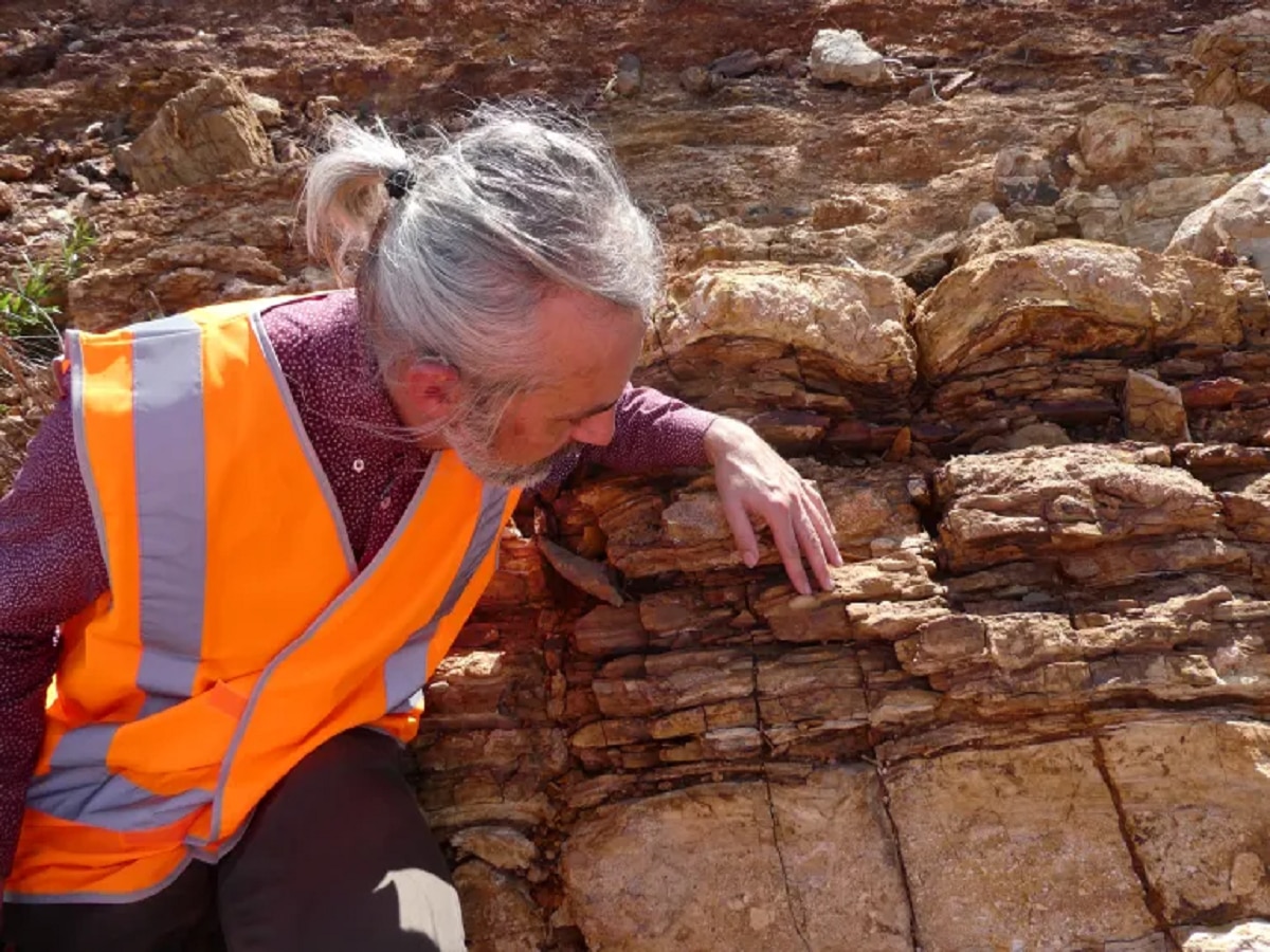 वैज्ञानिकांना सापडला हजारो वर्षे जुना दगड; उलगडलं 1,640,000,000 वर्षांपूर्वीच्या जीवसृष्टीचं रहस्य title=