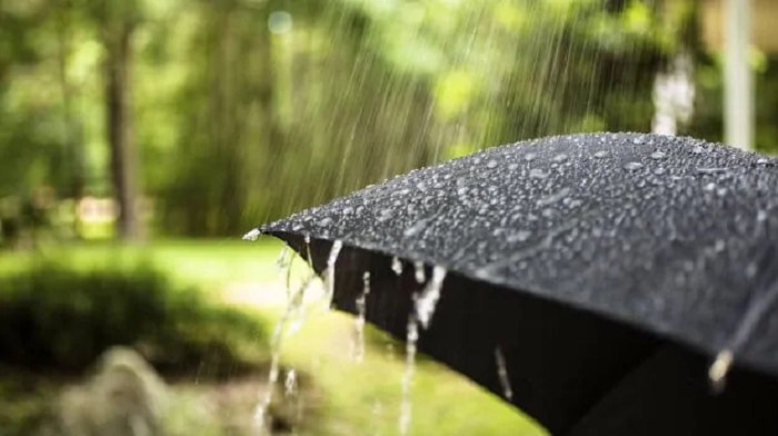 Maharashtra Rain yellow alert to vashim mumbai konkan will vitness light showers 