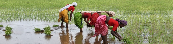 tribal communities in maharashtra 