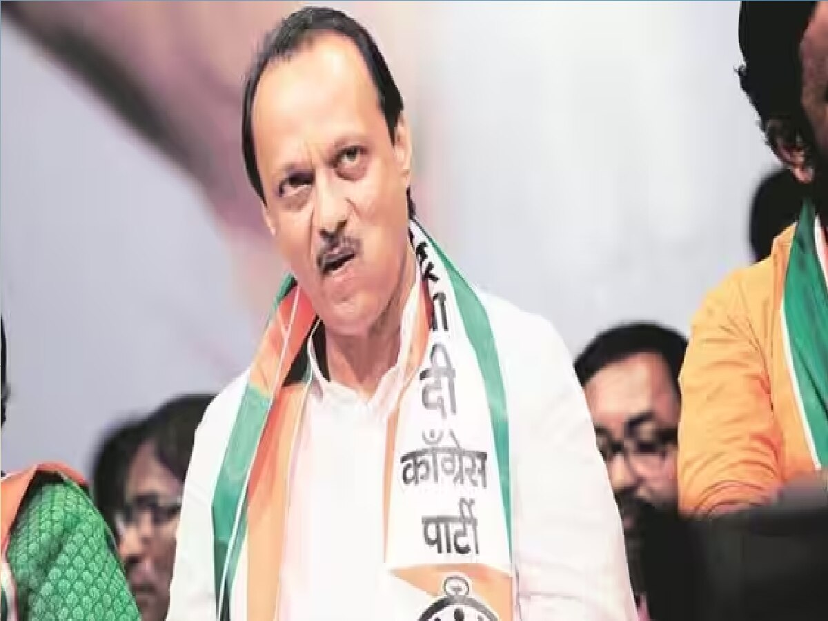राज्याच्या राजकारणात मोठी घडामोड, अजित पवारांच्या गळाला बीडचा दुसरा पुतण्या?