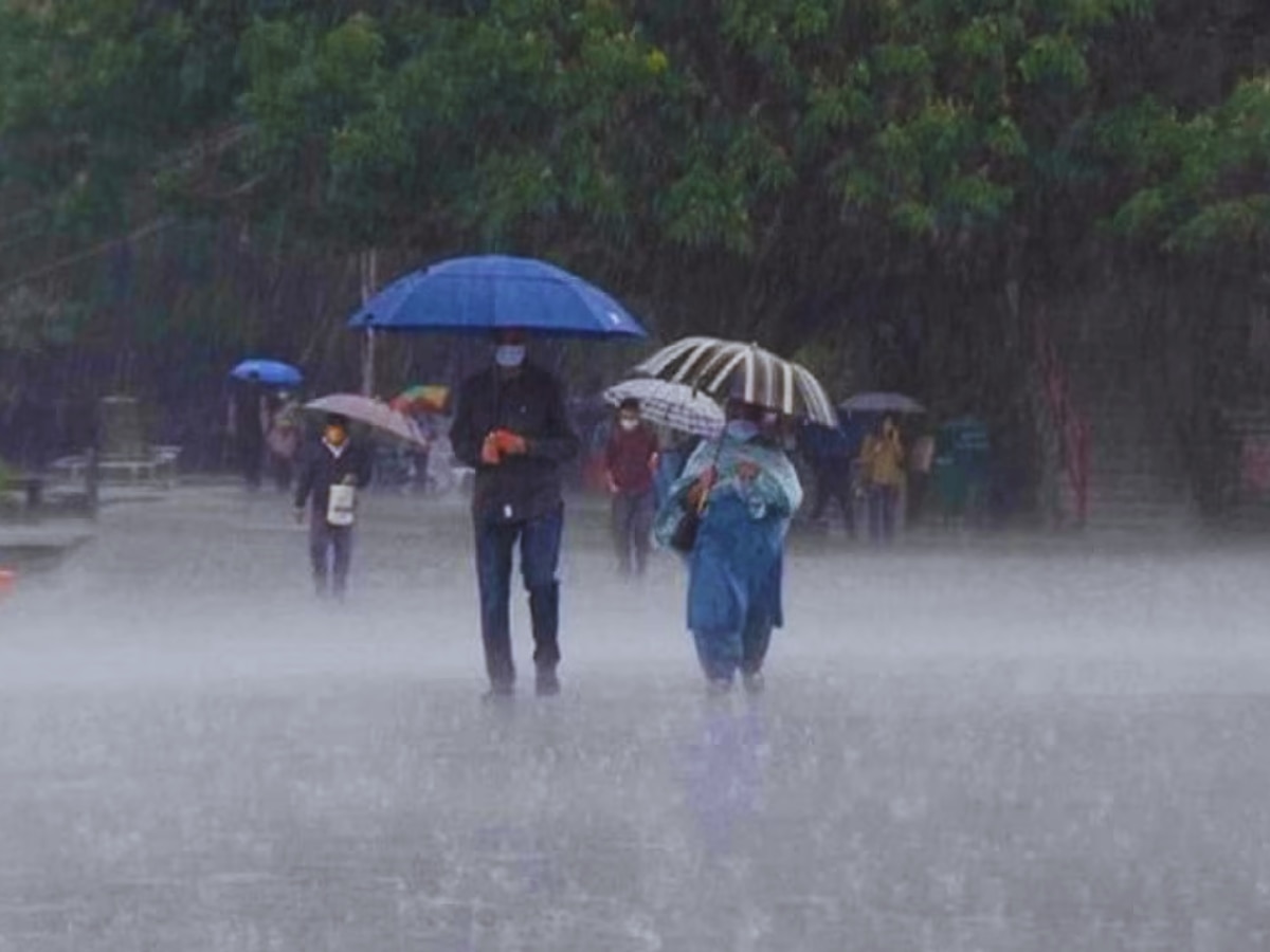 Maharashtra Rain: तहानलेल्या मराठवाड्यासाठी आनंदाची बातमी! राज्याच्या 'या' भागात  मुसळधार पावसाचा इशारा title=