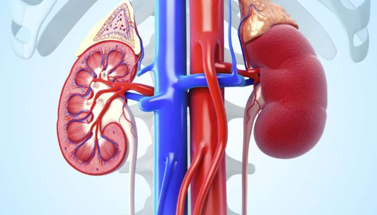 Premanand Maharajs Both Kidney Failures Symptoms and Remedies