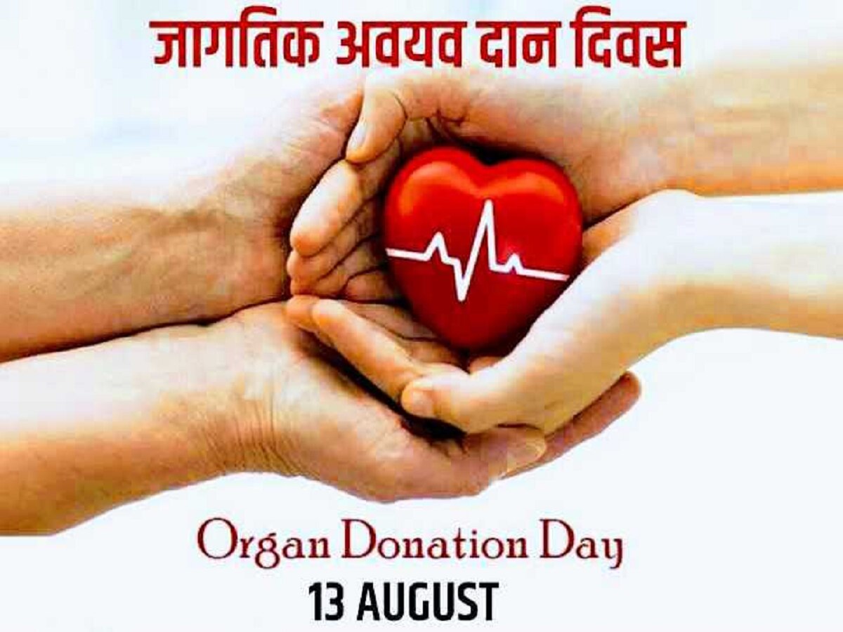  World Organ Donation Day: केवळ किडनीच नाही तर हे अवयवही जिवंतपणीच करता येतात दान; जाणून घ्या प्रक्रिया, तज्ज्ञ काय म्हणतात... title=