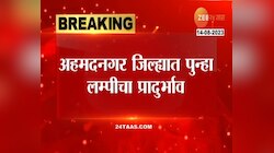 अहमदनगर जिल्ह्याला पुन्हा लम्पीचा विळखा; 53 जनावरांचा मृत्यू