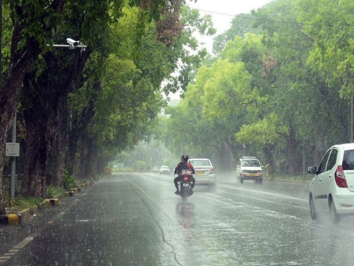Maharashtra Rain : राज्याच्या 'या' भागात ढगांच्या गडगडाटासह पावसाची शक्यता; मुंबई- कोकणात रिपरिप  title=