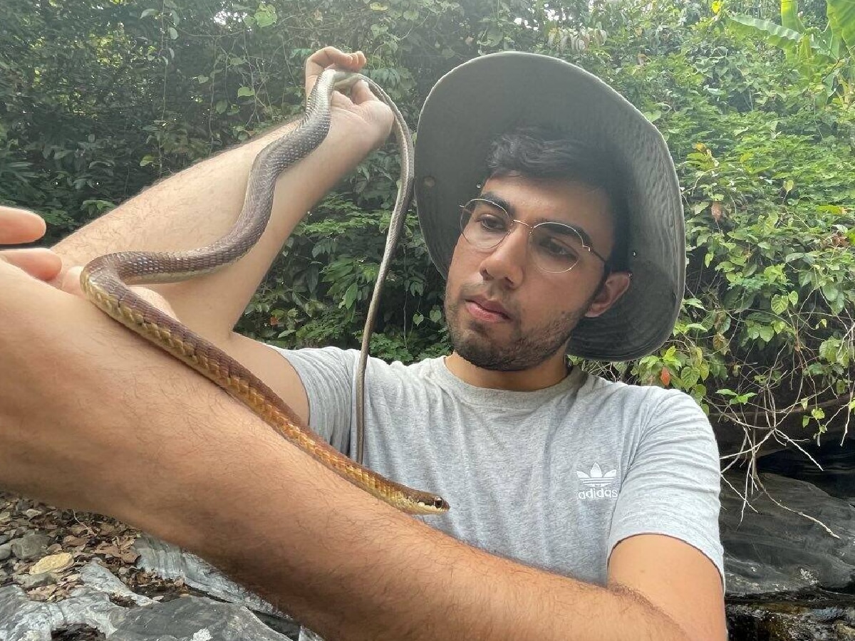 तेजस ठाकरेंना सह्याद्री डोंगररांगामध्ये सापडली सापाची नवी प्रजाती! तिला दिलेलं नाव पाहून वाटेल अभिमान title=