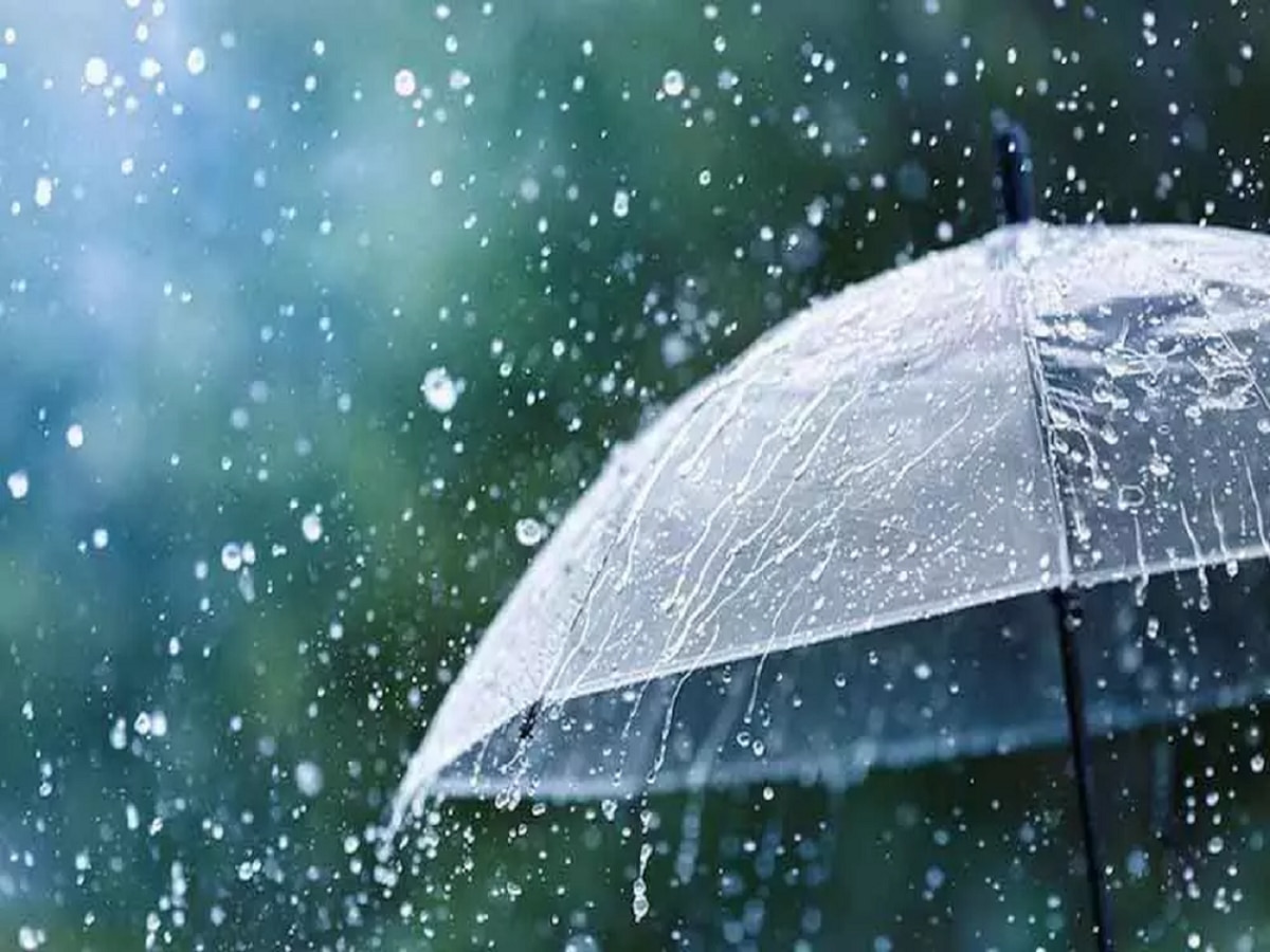 Maharashtra Rain : किमान दिलासा! उत्तर महाराष्ट्रावर पावसाची कृपा; कोकणात श्रावणसरी सुरुच  title=