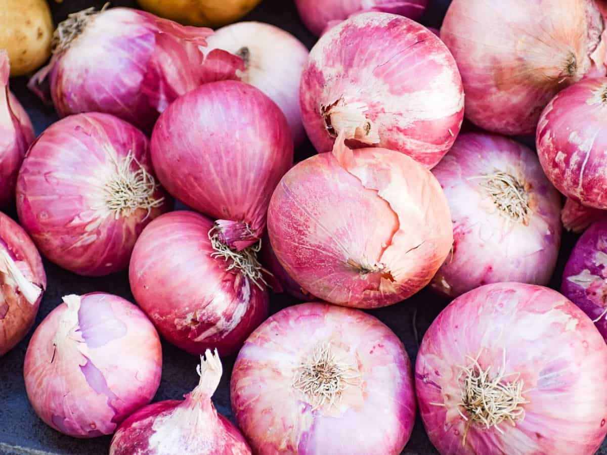 Onion storage Tips at home know before onion prices rise