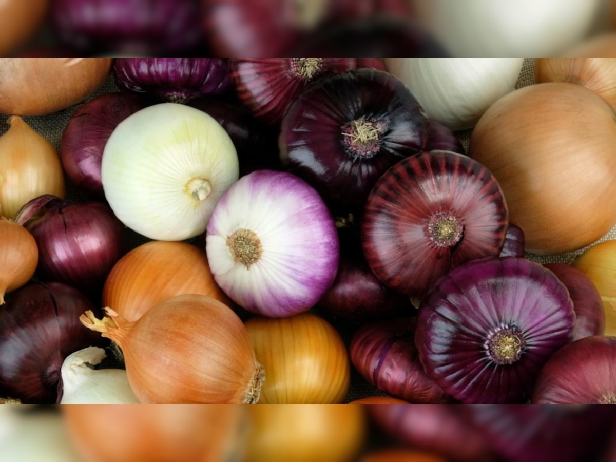 Onion storage Tips at home know before onion prices rise