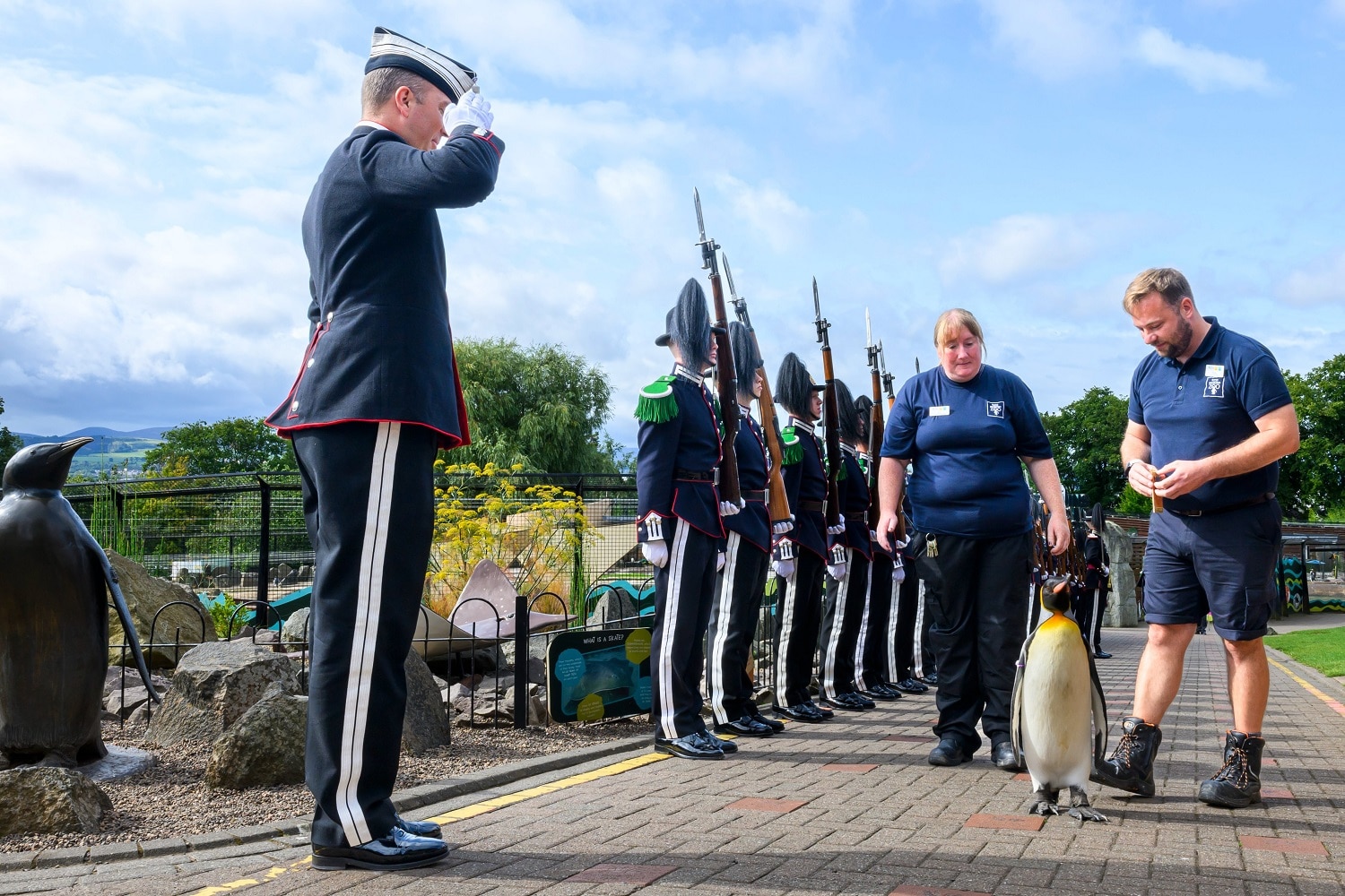 Penguin gets third highest rank in Norwegian army after promotion