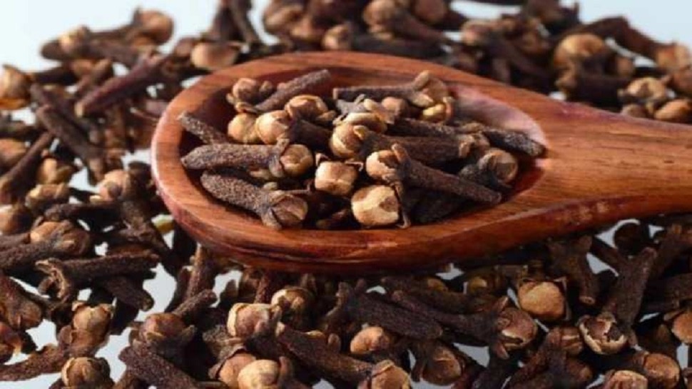 clove news in marathi 