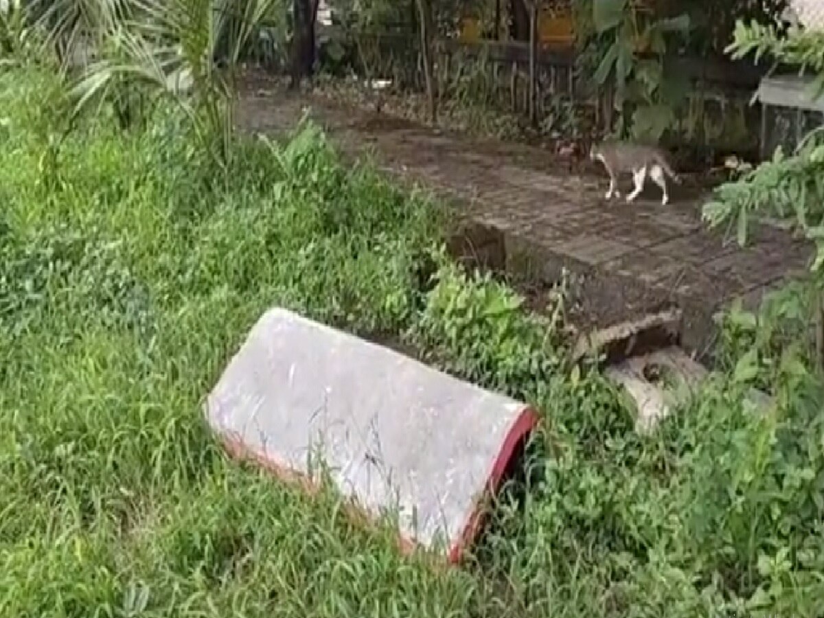 जिथे सुरक्ष रक्षक म्हणून काम करत होता तिथेच डोळ्यादेखत मुलीचा मृत्यू झाला; नवी मुंबईतील धक्कादायक घटना