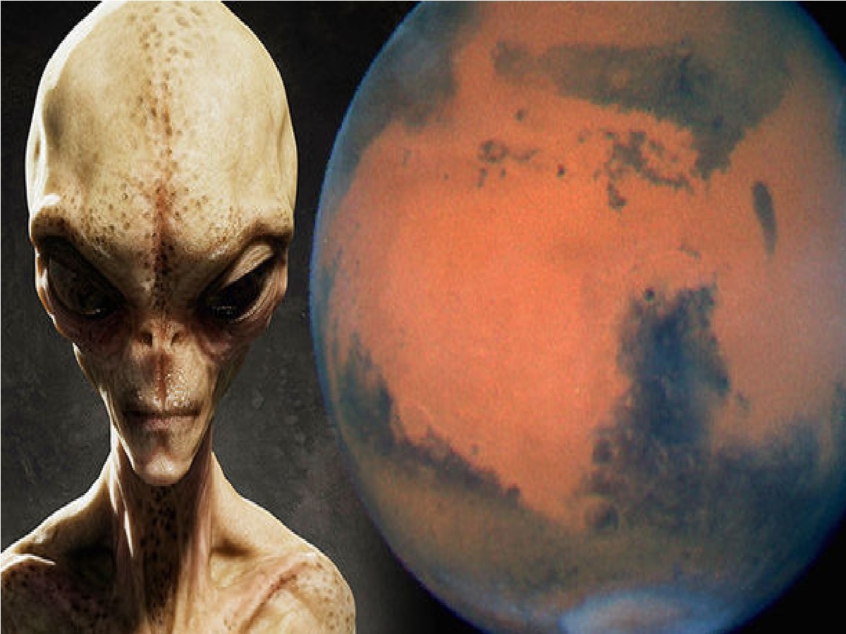 NASA च्या चुकीमुळे मंगळ ग्रहावर 50 वर्षांपूर्वी सापडलेल्या एलियनचा मृत्यू; वैज्ञानिकाचा खळबळजनक दावा title=