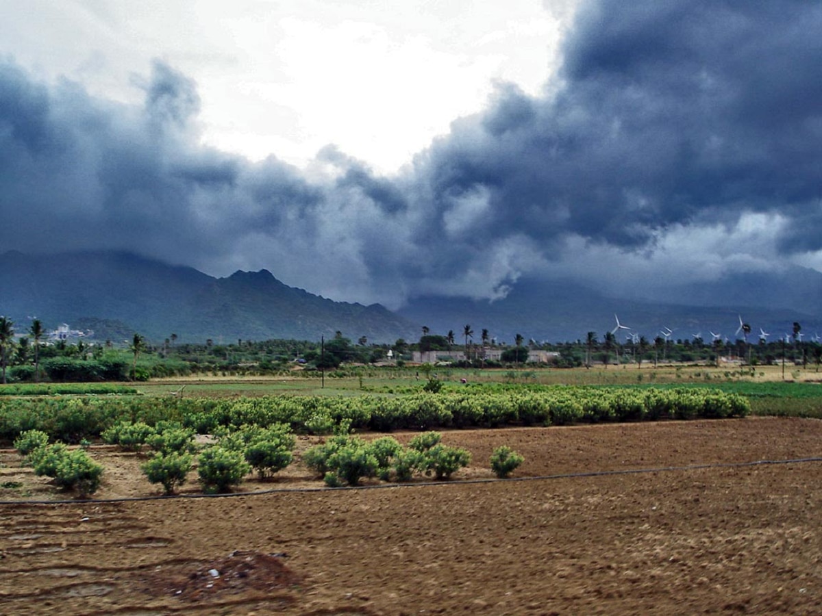 Maharashtra Rain : मध्य महाराष्ट्रासह कोकणात विजांच्या कडकडाटात पावसाची शक्यता, उर्वरित भागात काय परिस्थिती?  title=