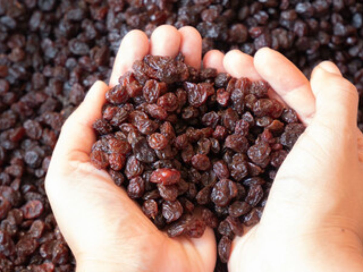 Black Raisins Benefits For Women in marathi