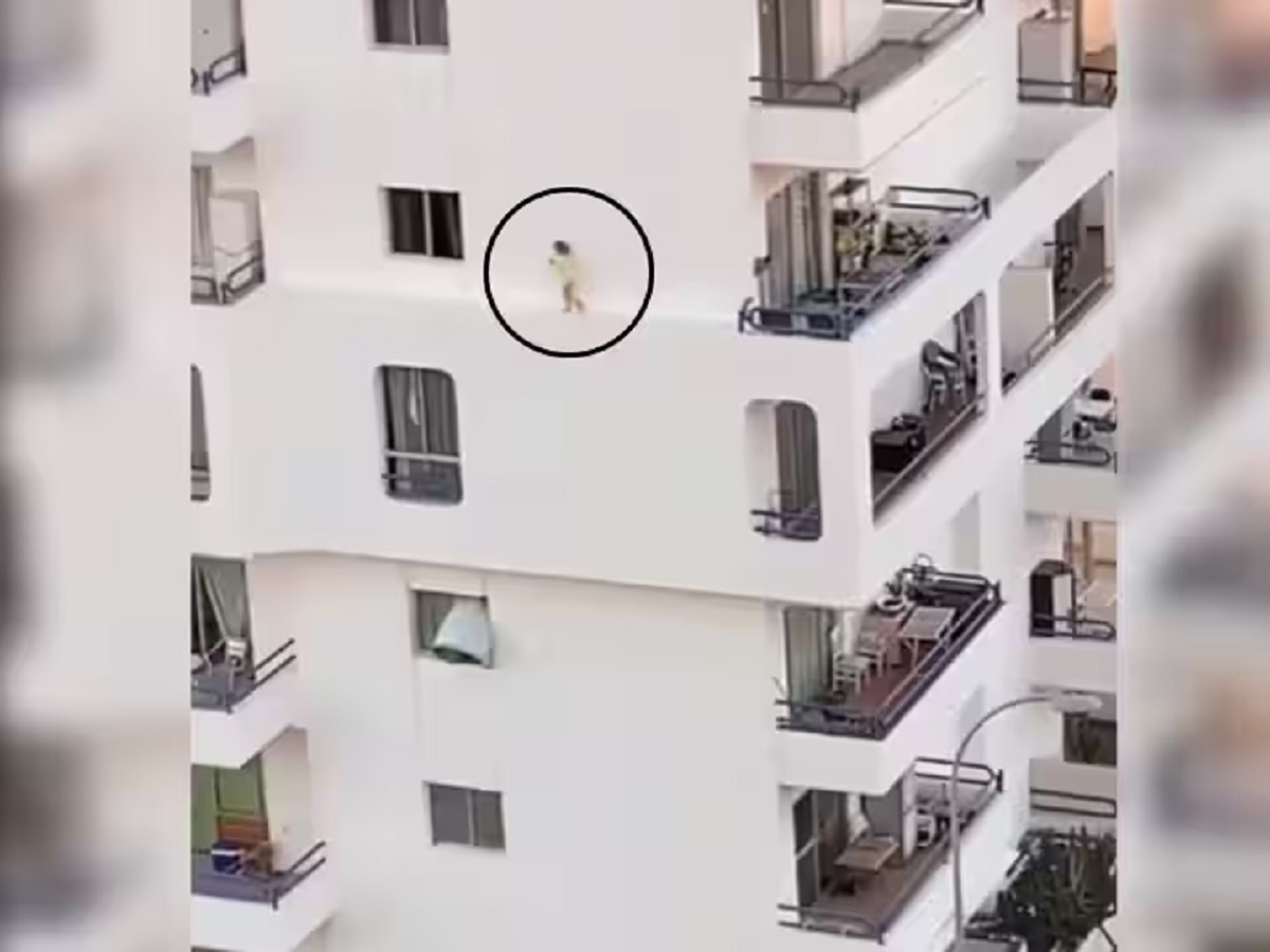 VIDEO : मुलांकडे लक्ष द्या! उंच इमारतीच्या धोकादायक काठावर चिमुकला धावत होता अन् मग...  title=