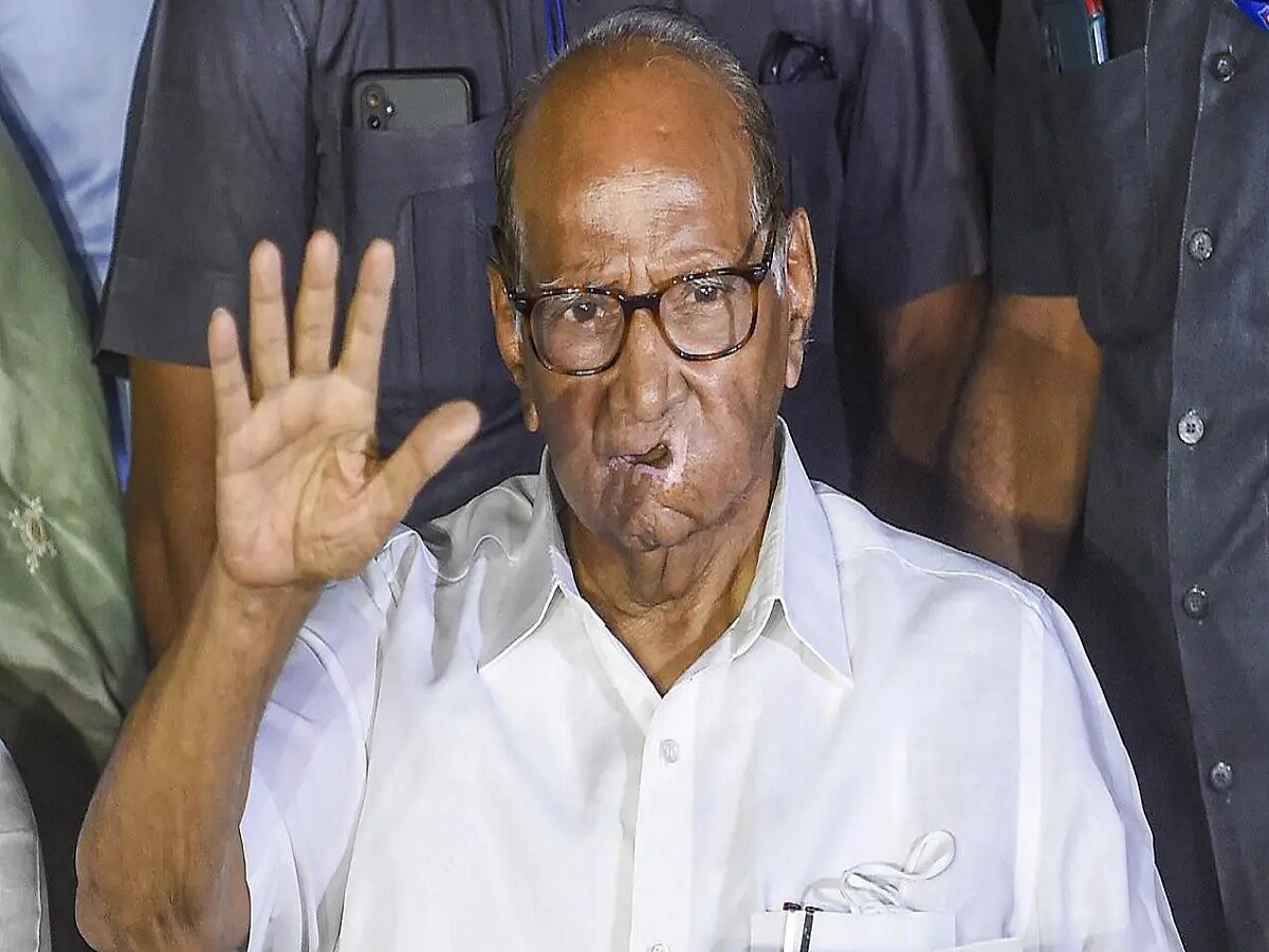 शरद पवार यांची पूजा करूनच आम्ही राज्यात काम करतो; अजित पवार गटाच्या मंत्र्याचे वक्तव्य चर्चेत