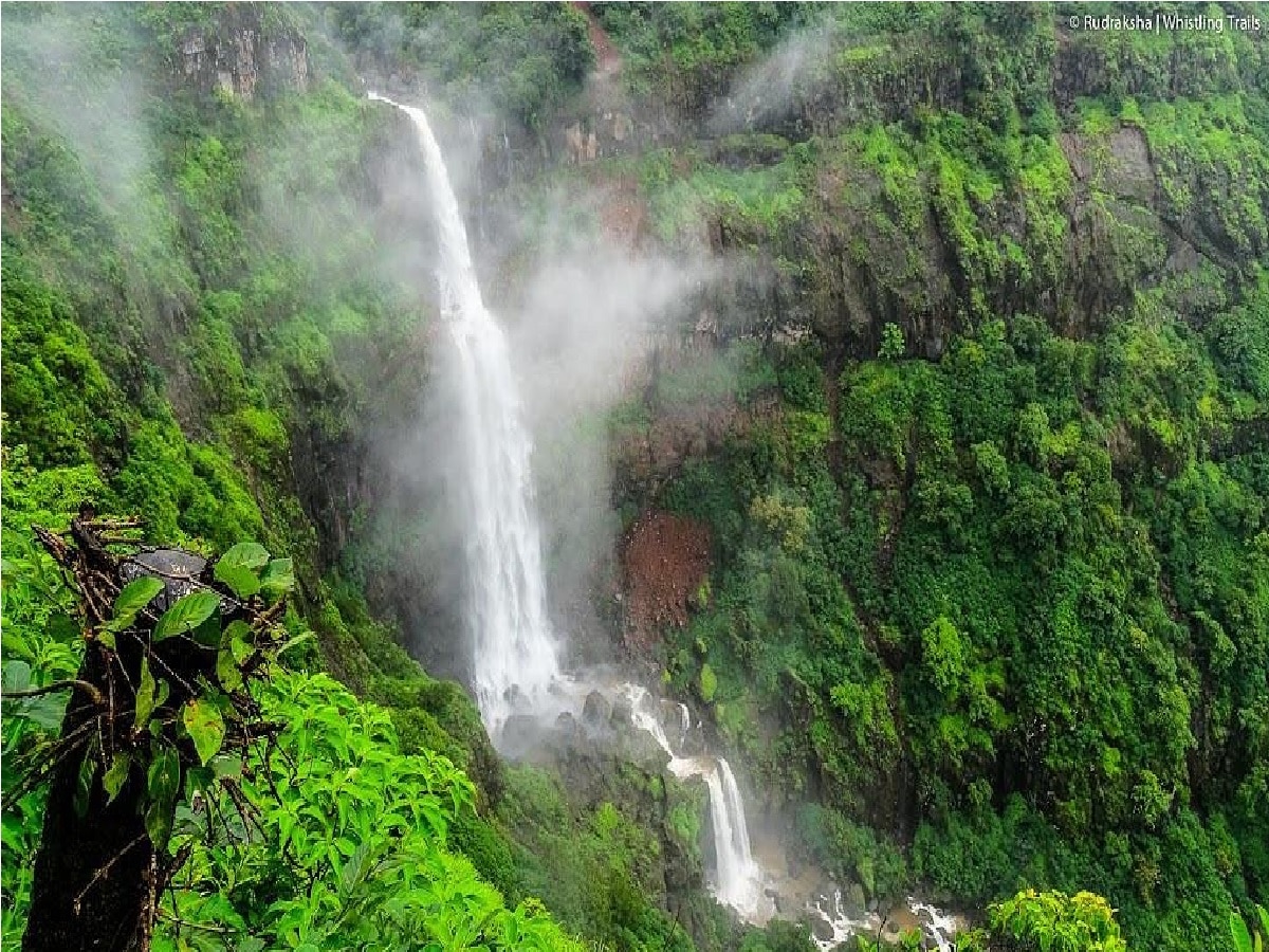 बहरला हिरवागार निसर्ग! भीमाशंकर येथील कोंढवळ धबधबा ओसांडून वाहतोय The