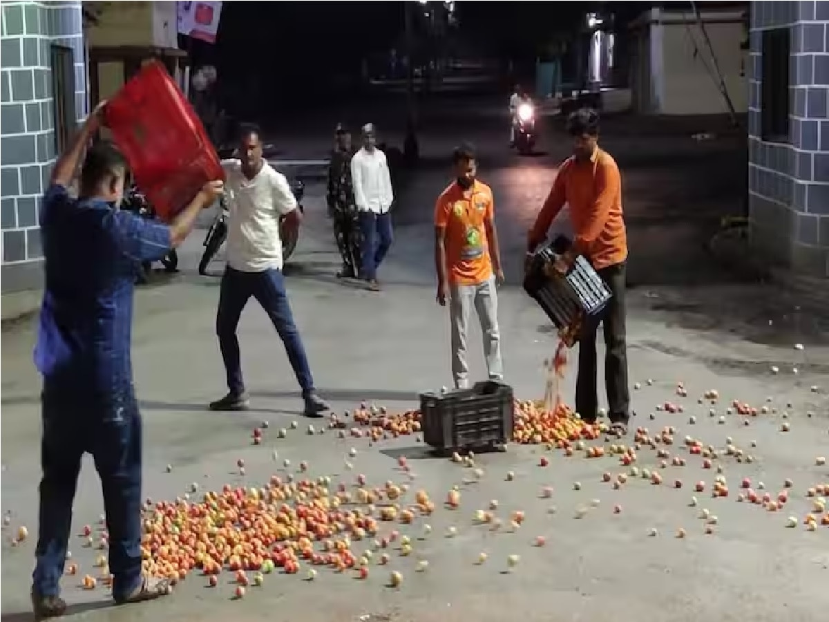 tomato price hike