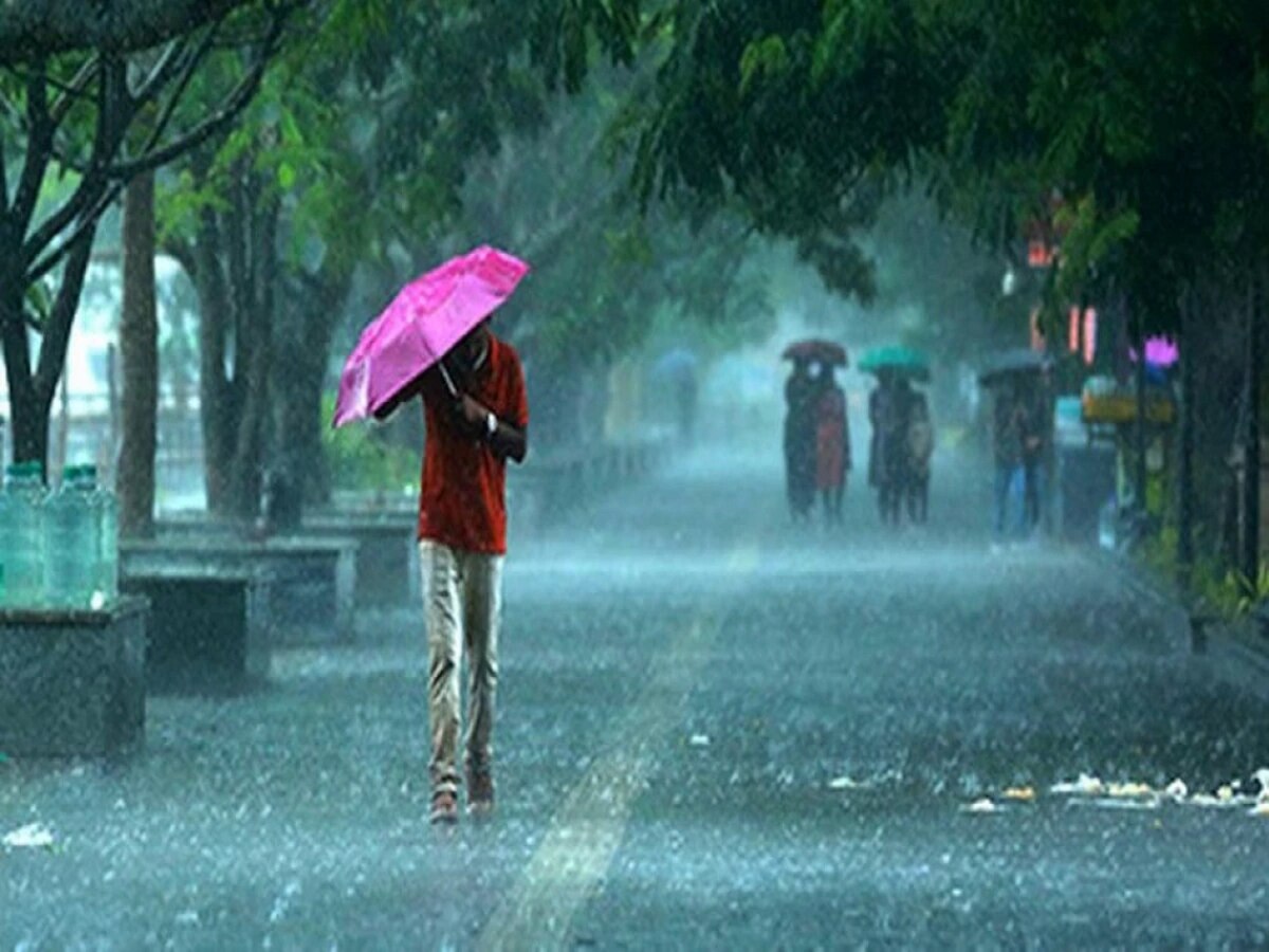 Maharashtra Rain : आजचा दिवस पावसाचा, 'इथं' यलो अलर्ट; पाहा कोणत्या भागावर होणार कृपा title=