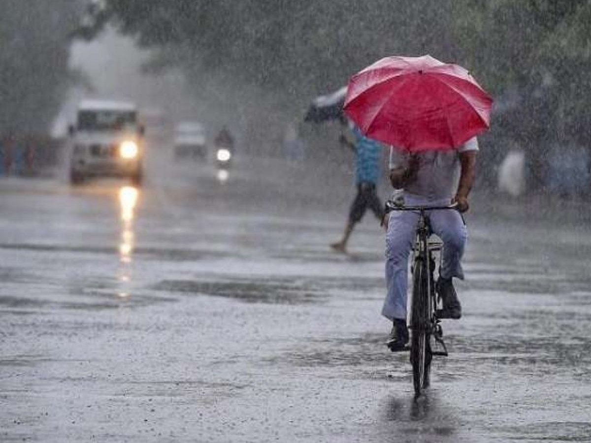 Maharashtra Rain : वीकेंड गाजवणार! गणेशोत्सवाच्या तयारीसाठी वरुणराजाचीही हजेरी, 'या' जिल्ह्यांना यलो अलर्ट  title=