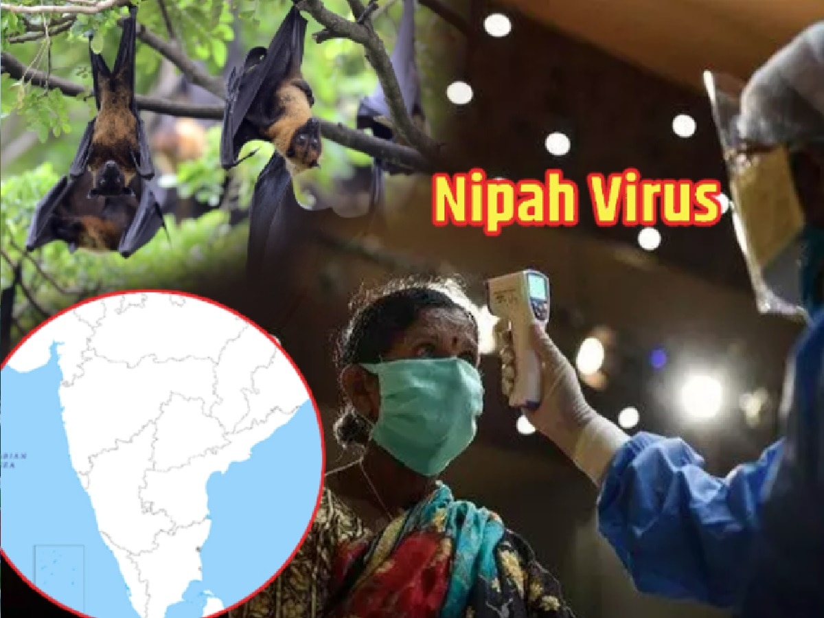 Nipah Virus महाराष्ट्राच्या उंबरठ्यावर? कर्नाटकने जारी केला अलर्ट; केरळमधील रुग्णसंख्येनं वाढलं टेन्शन title=