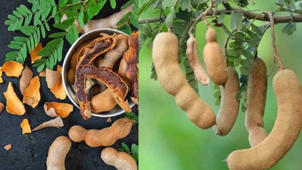 benefits of tamarind in marathi 