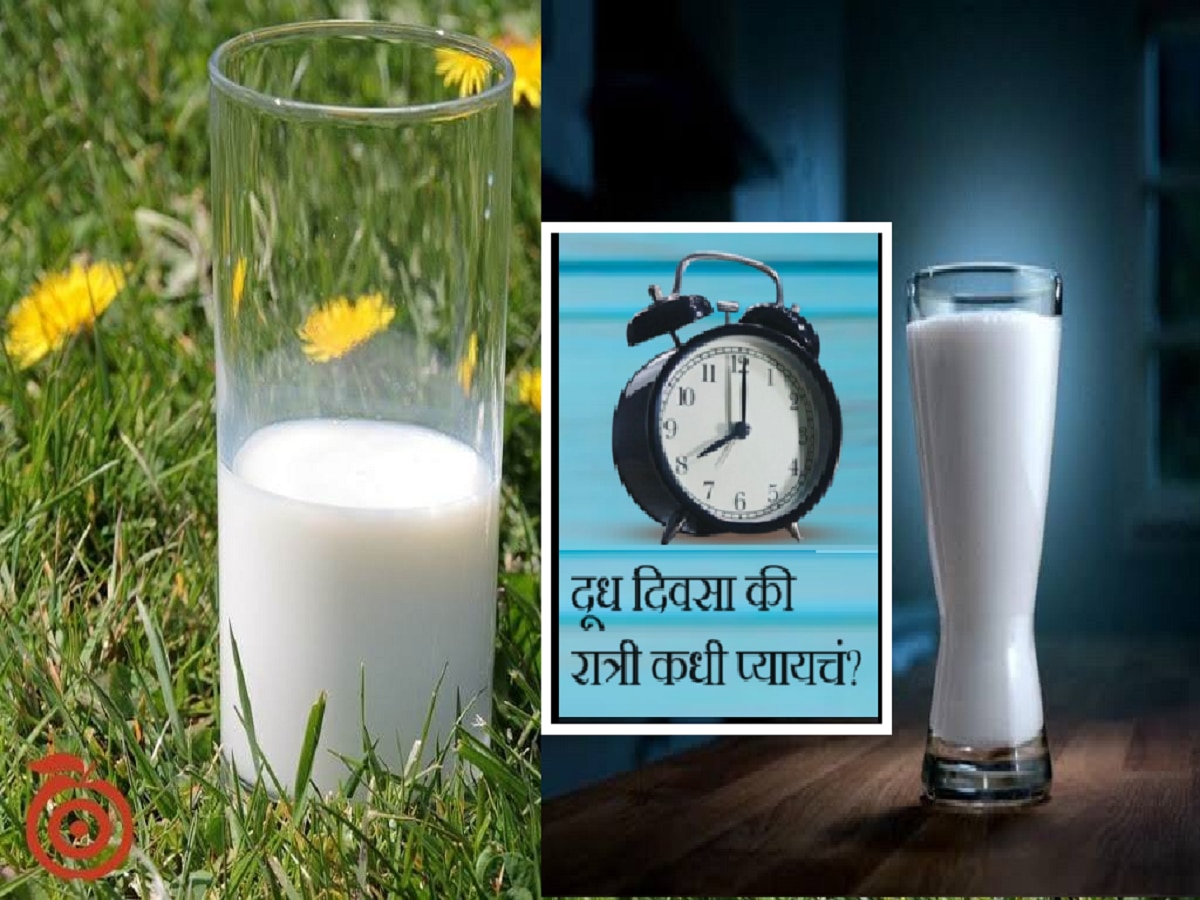 Milk Health Benefits : दुधाचं सेवन सकाळी करावं की रात्री? काय आहे आरोग्यासाठी बेस्ट title=