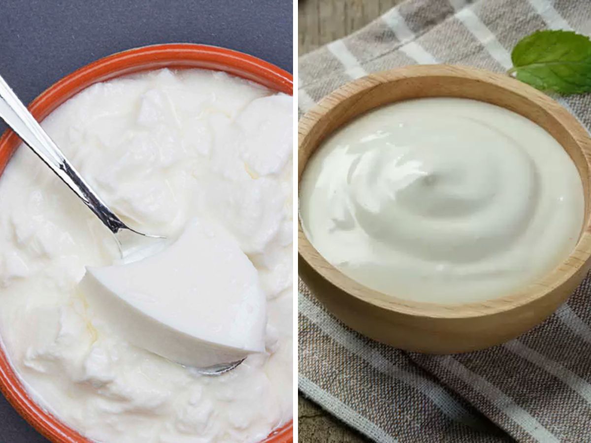 Kitchen Tips दही की योगर्ट असा ओळखा फरक!kitchen tips What is the