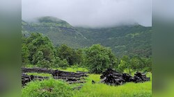 Maharashtra Rain : राज्याच्या 'या' भागात पावसाळा, तर इथं उन्हाच्या झळा; पाहा हवामान वृत्त 