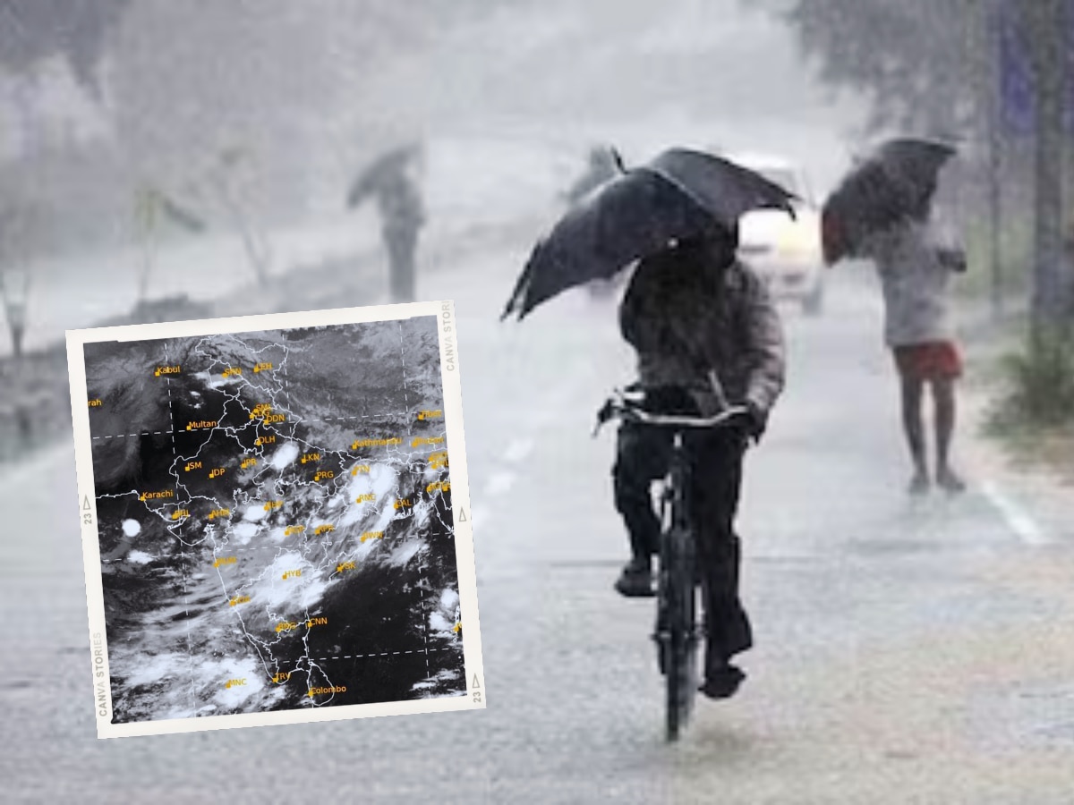 Pune Rain News : पुणे शहरात मुसळधार पाऊस, पुढील 5 दिवसांसाठी अलर्ट जारी; 'या' भागांना झोडपलं! title=
