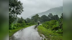 Maharashtra Rain : राज्याचा काही भाग वगळता बहुतांश जिल्ह्यांत पावसाची संततधार; कुठे जोर ओसरला?
