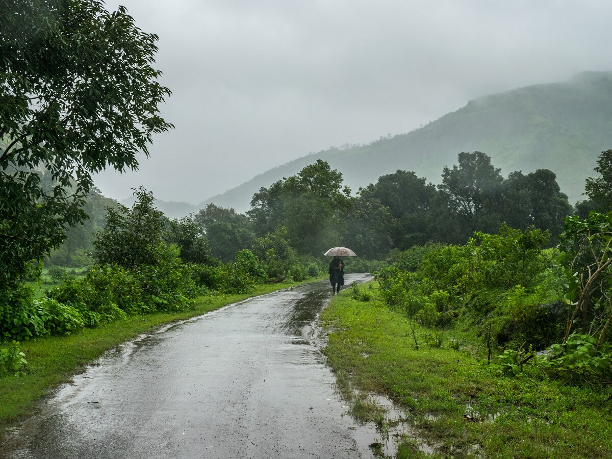 Maharashtra Rain : राज्याचा काही भाग वगळता बहुतांश जिल्ह्यांत पावसाची संततधार; कुठे जोर ओसरला? title=
