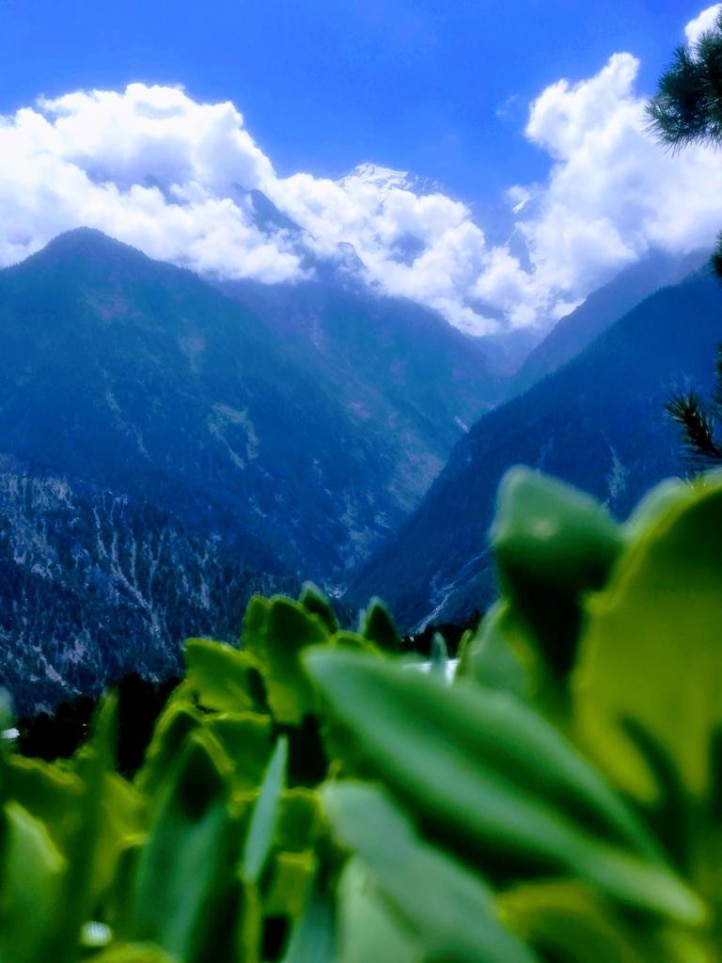 Himachal Pradesh kalpa suicide point travel tourist attraction 