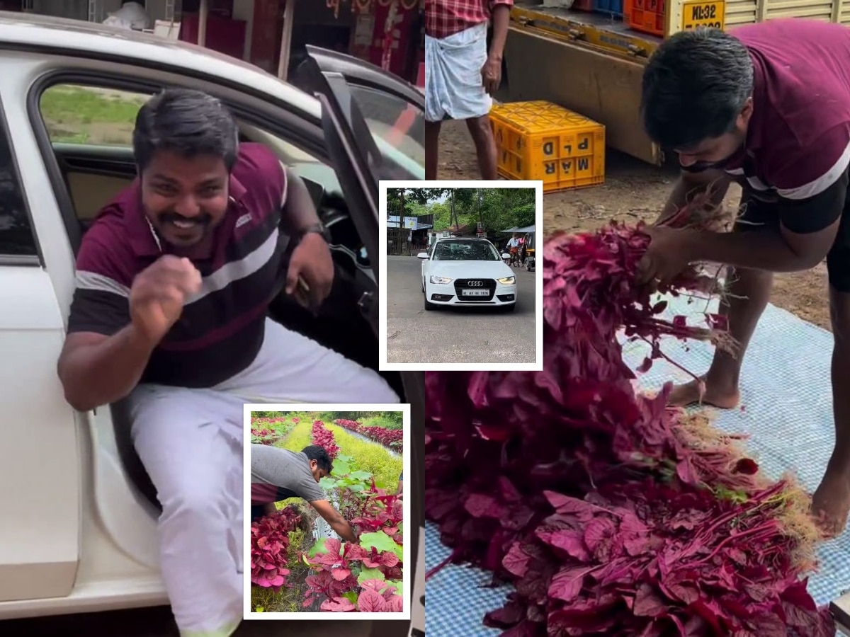 नाद खुळा! भाजी विकण्यासाठी चक्क ऑडीमधून येतो 'हा' शेतकरी; VIDEO पाहून सगळे हैराण title=