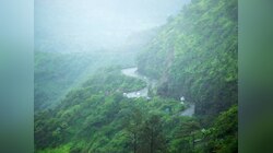 Maharashtra Rain : आता फक्त गडगडाट; रविवार मात्र मुसळधार पावसाचा 