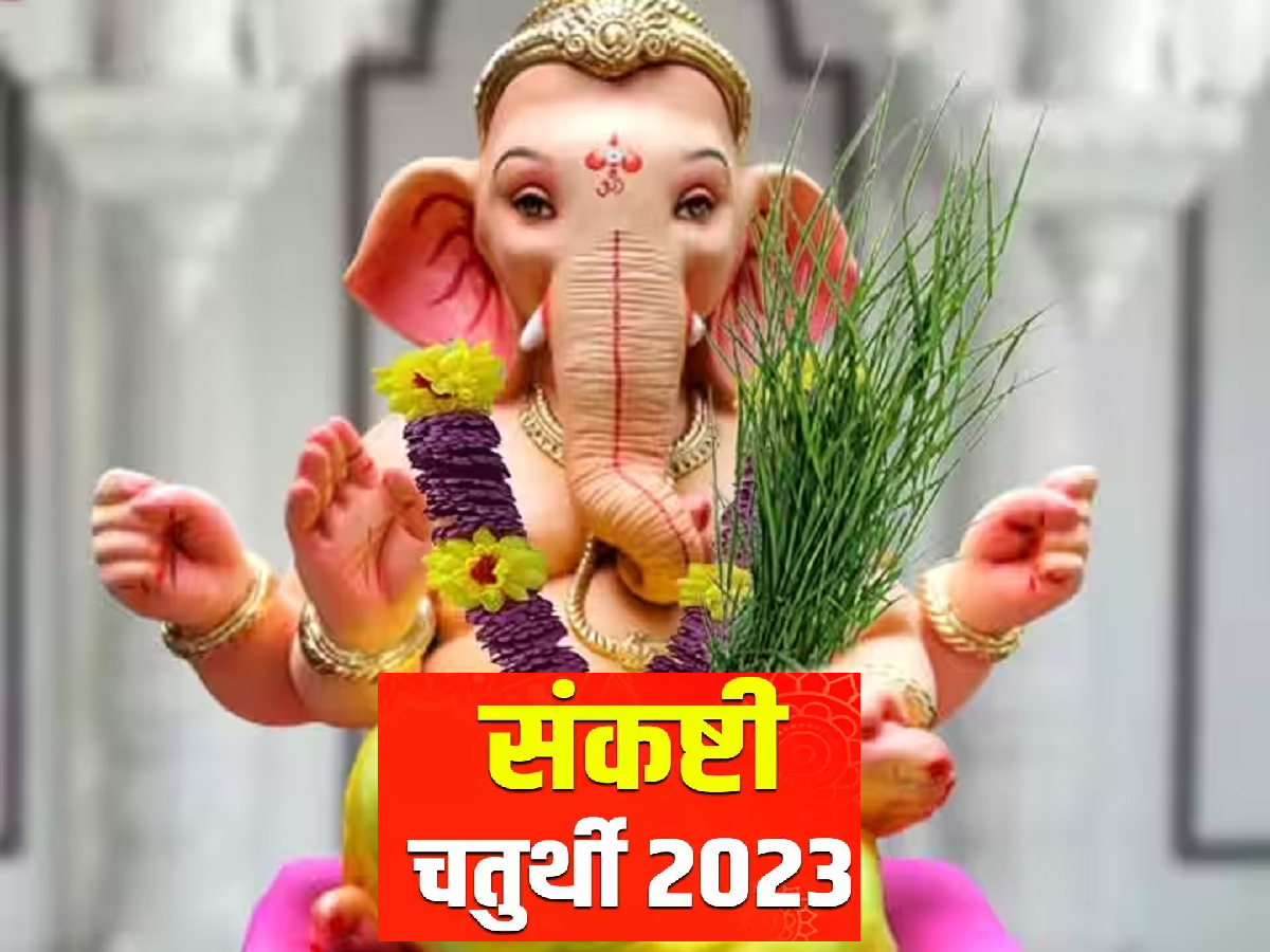 आज संकष्टी चतुर्थी! तिथी, शुभ मुहूर्तासोबत जाणून घ्या राहू-केतूच्या त्रासापासून मुक्ती मिळवण्याचे उपाय आज संकष्टी चतुर्थी! तिथी, शुभ मुहूर्तासोबत जाणून घ्या राहू-केतूच्या त्रासापासून मुक्ती मिळवण्याचे उपाय