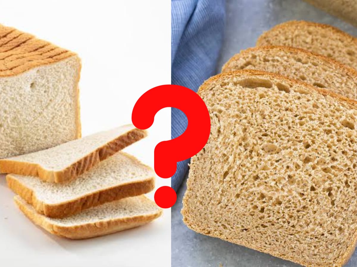 व्हाईट, होलव्हीट की मल्टिग्रेन; उत्तम आरोग्यासाठी कोणता ब्रेड खायला हवा