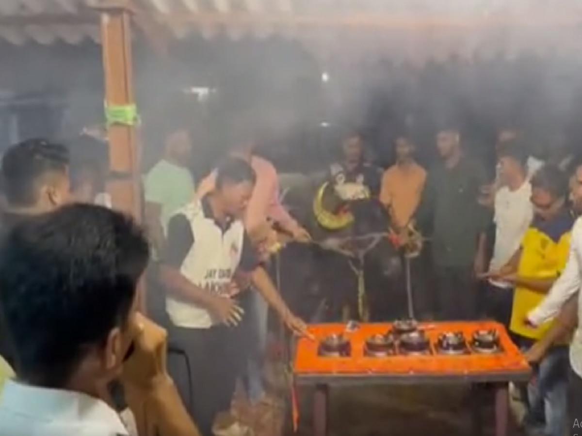 बर्थडे आहे रेड्याचा जल्लोष साऱ्या गावाचा! भिवंडीत जंगी सेलिब्रेशन