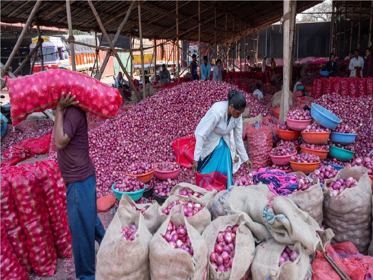 नाशिकमधील कांदाकोंडी 13 दिवसांनंतर फुटली; व्यापारी दोन पावलं मागे आल्याने शेतकऱ्यांना दिलासा नाशिकमधील कांदाकोंडी 13 दिवसांनंतर फुटली; व्यापारी दोन पावलं मागे आल्याने शेतकऱ्यांना दिलासा