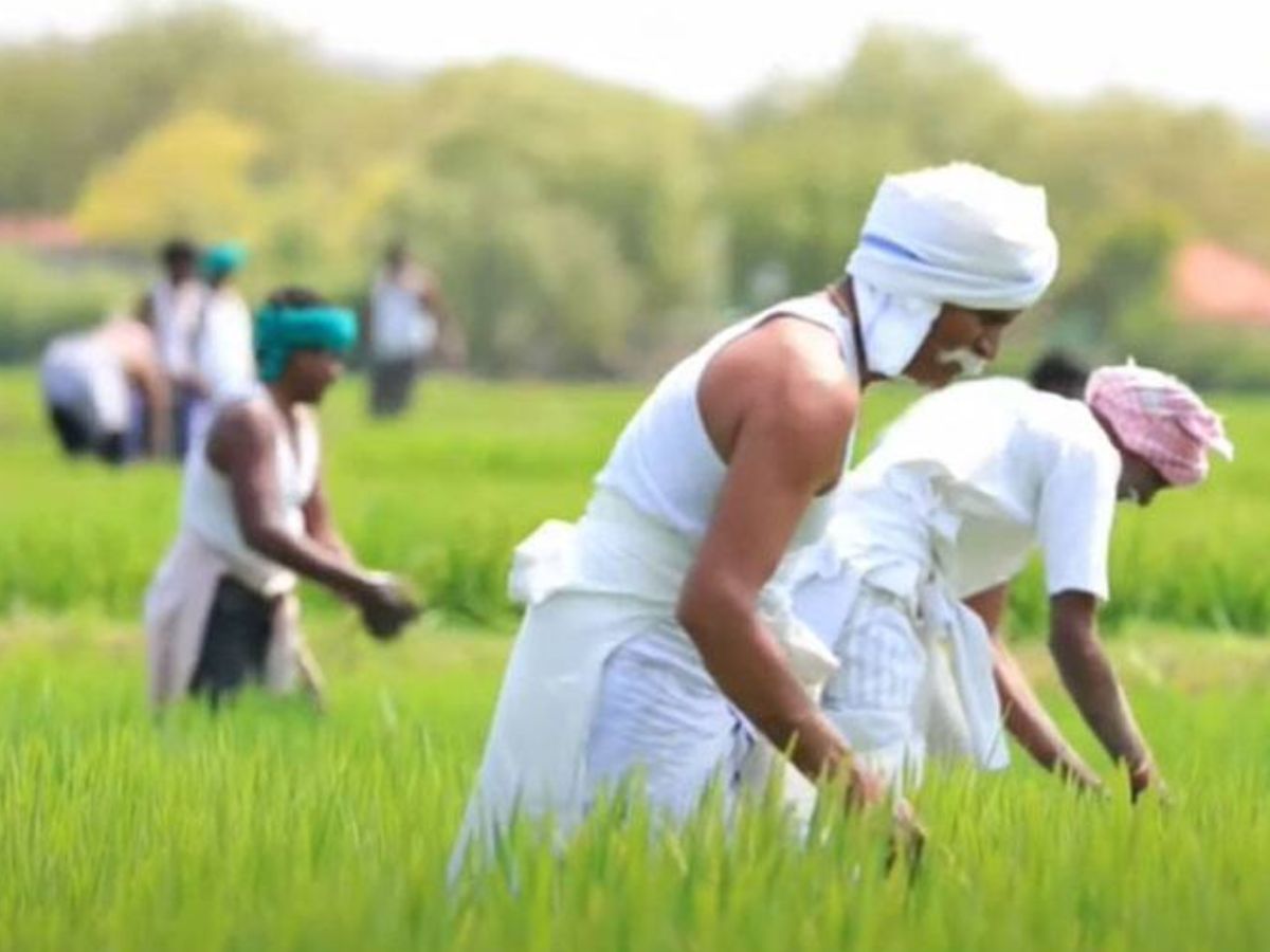 Modi Government Scheme in India for Farmers and Citizen